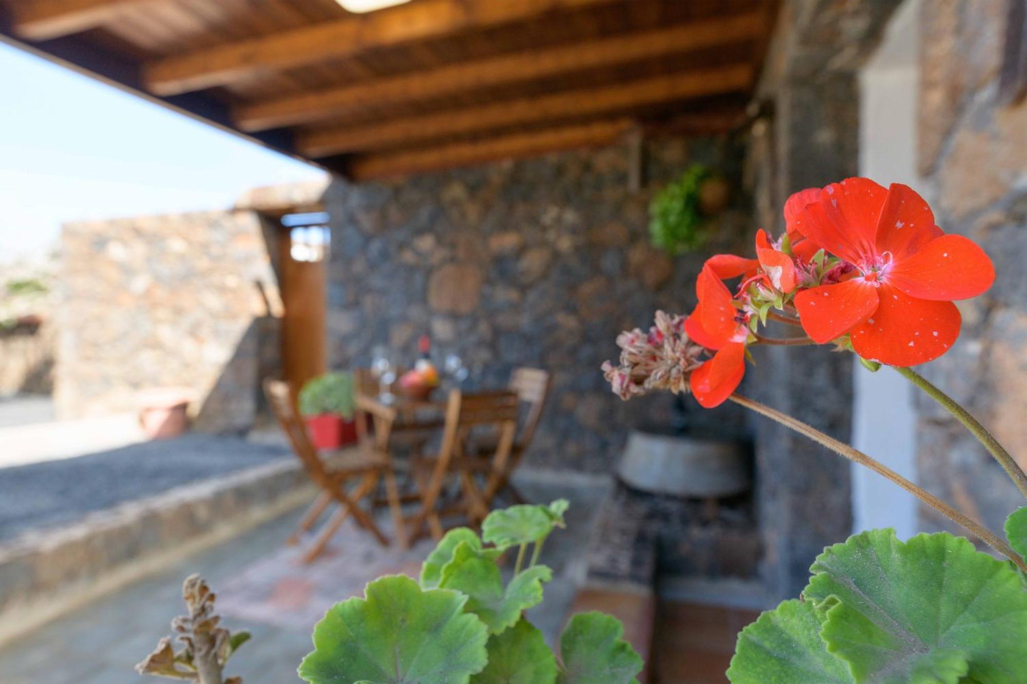 Apartamento Los 4 Nobles Tinajo Bagian luar foto